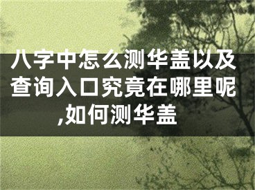 八字中怎么测华盖以及查询入口究竟在哪里呢,如何测华盖