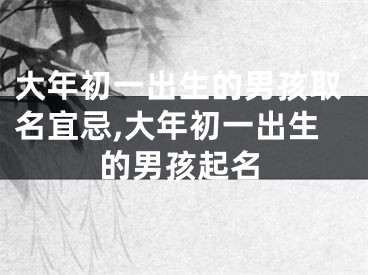 大年初一出生的男孩取名宜忌,大年初一出生的男孩起名
