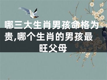 哪三大生肖男孩命格为贵,哪个生肖的男孩最旺父母