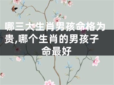 哪三大生肖男孩命格为贵,哪个生肖的男孩子命最好