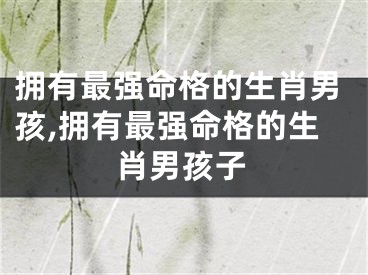 拥有最强命格的生肖男孩,拥有最强命格的生肖男孩子
