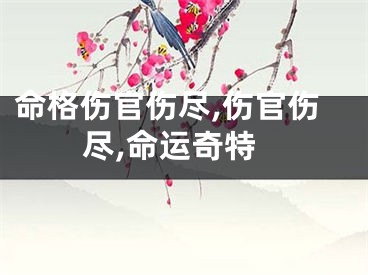 命格伤官伤尽,伤官伤尽,命运奇特