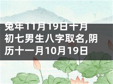 兔年11月19日十月初七男生八字取名,阴历十一月10月19日