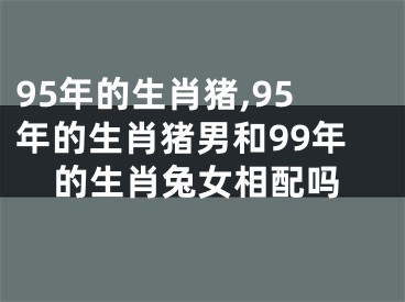 95年的生肖猪,95年的生肖猪男和99年的生肖兔女相配吗