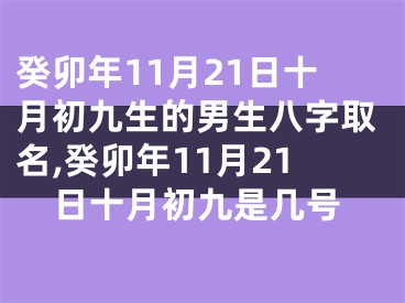 癸卯年11月21日十月初九生的男生八字取名,癸卯年11月21日十月初九是几号