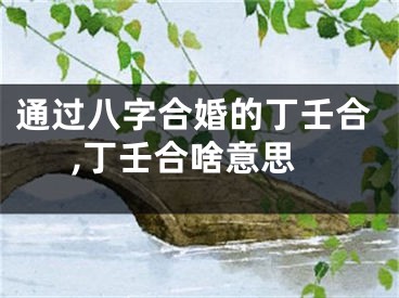 通过八字合婚的丁壬合,丁壬合啥意思