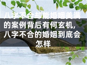 八字不合却能婚姻美满的案例背后有何玄机,八字不合的婚姻到底会怎样