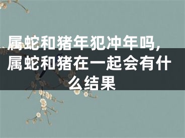 属蛇和猪年犯冲年吗,属蛇和猪在一起会有什么结果