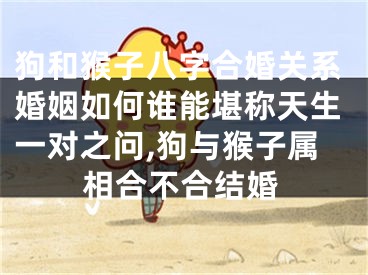狗和猴子八字合婚关系婚姻如何谁能堪称天生一对之问,狗与猴子属相合不合结婚
