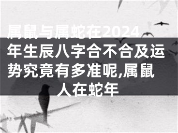 属鼠与属蛇在2024年生辰八字合不合及运势究竟有多准呢,属鼠人在蛇年
