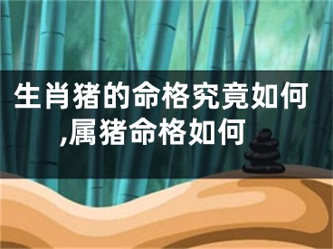 生肖猪的命格究竟如何,属猪命格如何