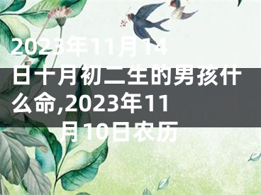 2023年11月14日十月初二生的男孩什么命,2023年11月10日农历
