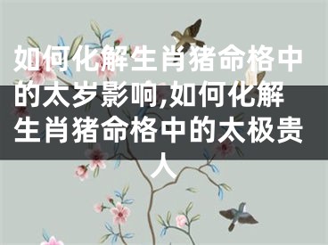 如何化解生肖猪命格中的太岁影响,如何化解生肖猪命格中的太极贵人