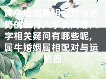 属牛婚姻属相配对与运势的五行八字及周易八字相关疑问有哪些呢,属牛婚姻属相配对与运势图