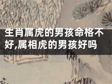 生肖属虎的男孩命格不好,属相虎的男孩好吗
