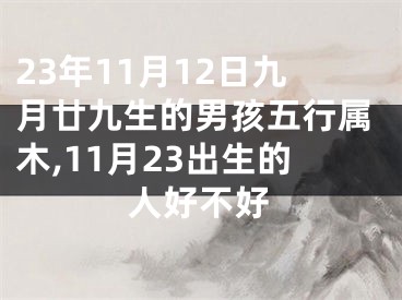 23年11月12日九月廿九生的男孩五行属木,11月23出生的人好不好