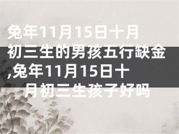 兔年11月15日十月初三生的男孩五行缺金,兔年11月15日十月初三生孩子好吗