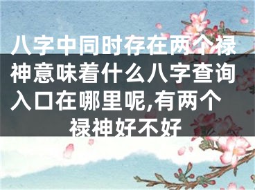 八字中同时存在两个禄神意味着什么八字查询入口在哪里呢,有两个禄神好不好