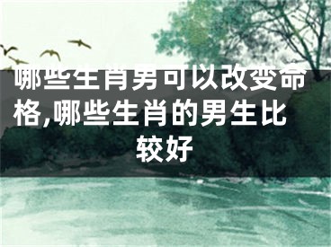 哪些生肖男可以改变命格,哪些生肖的男生比较好