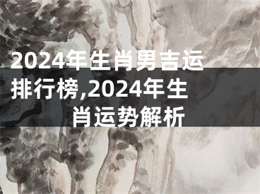 2024年生肖男吉运排行榜,2024年生肖运势解析