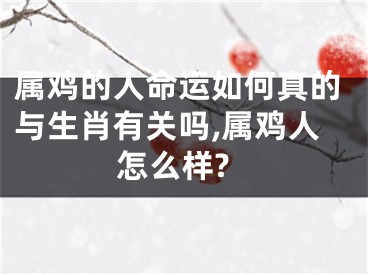 属鸡的人命运如何真的与生肖有关吗,属鸡人怎么样?