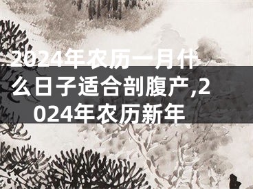 2024年农历一月什么日子适合剖腹产,2024年农历新年