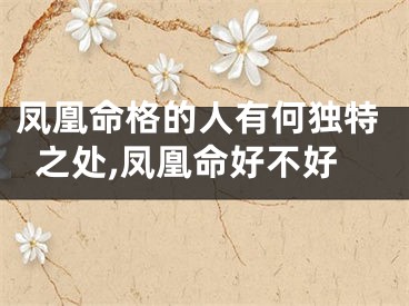 凤凰命格的人有何独特之处,凤凰命好不好