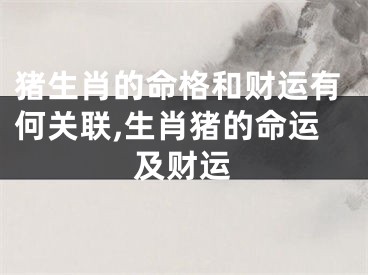 猪生肖的命格和财运有何关联,生肖猪的命运及财运