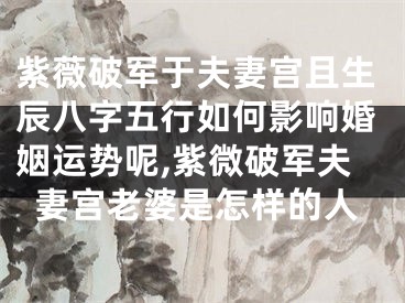 紫薇破军于夫妻宫且生辰八字五行如何影响婚姻运势呢,紫微破军夫妻宫老婆是怎样的人
