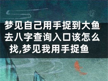 梦见自己用手捉到大鱼去八字查询入口该怎么找,梦见我用手捉鱼