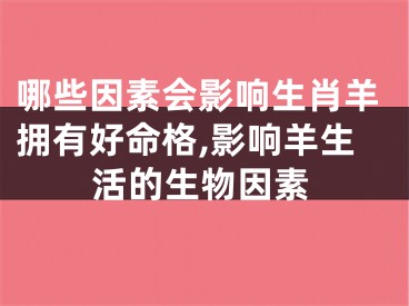哪些因素会影响生肖羊拥有好命格,影响羊生活的生物因素