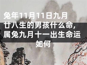 兔年11月11日九月廿八生的男孩什么命,属兔九月十一出生命运如何