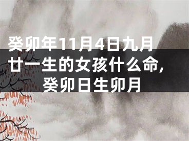 癸卯年11月4日九月廿一生的女孩什么命,癸卯日生卯月