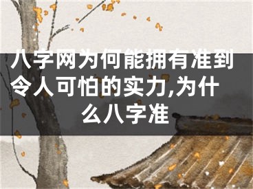 八字网为何能拥有准到令人可怕的实力,为什么八字准