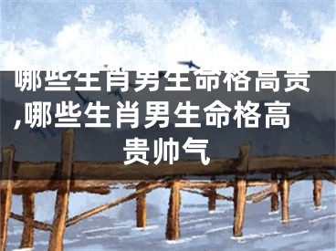 哪些生肖男生命格高贵,哪些生肖男生命格高贵帅气