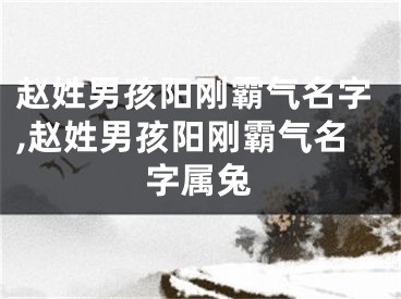赵姓男孩阳刚霸气名字,赵姓男孩阳刚霸气名字属兔