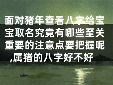 面对猪年查看八字给宝宝取名究竟有哪些至关重要的注意点要把握呢,属猪的八字好不好