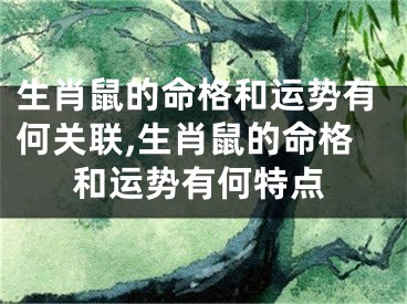 生肖鼠的命格和运势有何关联,生肖鼠的命格和运势有何特点