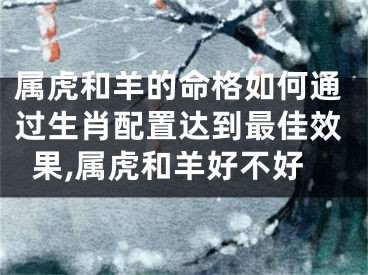 属虎和羊的命格如何通过生肖配置达到最佳效果,属虎和羊好不好