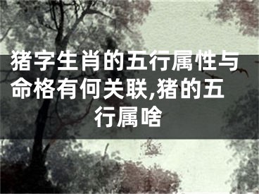 猪字生肖的五行属性与命格有何关联,猪的五行属啥