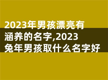2023年男孩漂亮有涵养的名字,2023兔年男孩取什么名字好