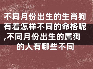 不同月份出生的生肖狗有着怎样不同的命格呢,不同月份出生的属狗的人有哪些不同