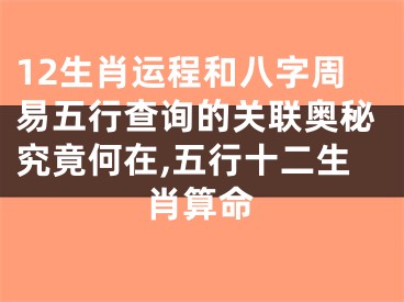 12生肖运程和八字周易五行查询的关联奥秘究竟何在,五行十二生肖算命