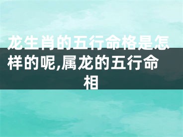 龙生肖的五行命格是怎样的呢,属龙的五行命相