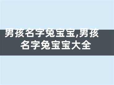 男孩名字兔宝宝,男孩名字兔宝宝大全