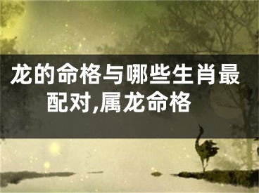 龙的命格与哪些生肖最配对,属龙命格