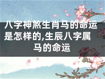 八字神煞生肖马的命运是怎样的,生辰八字属马的命运