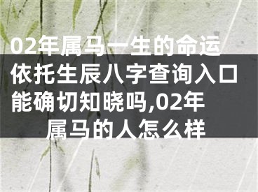 02年属马一生的命运依托生辰八字查询入口能确切知晓吗,02年属马的人怎么样