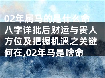 02年属马的是什么命八字详批后财运与贵人方位及把握机遇之关键何在,02年马是啥命