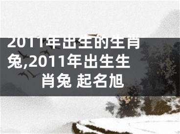 2011年出生的生肖兔,2011年出生生肖兔 起名旭
